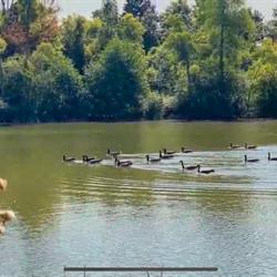Loafers Lake